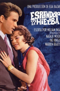 Esplendor en la hierba