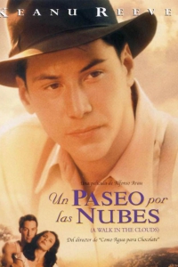 Un paseo por las nubes