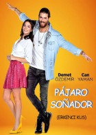 Pájaro soñador