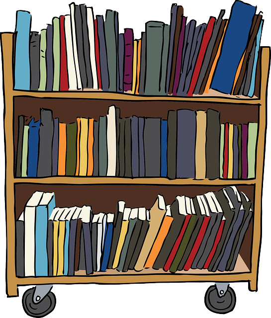 bookshelf 32811 640