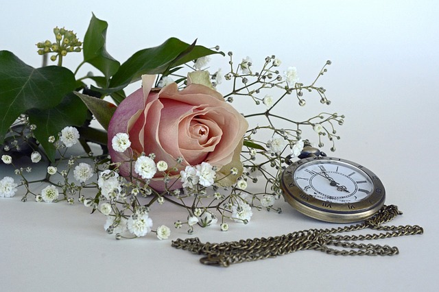 rose-1706449 640