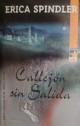 Erica Spindler - Callejón sin salida