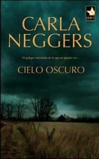 Cielo oscuro