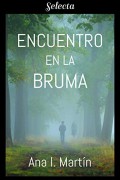 Encuentro en la bruma