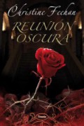 Reunión oscura