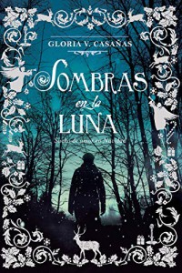 Sombras en la luna